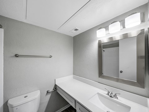 a bathroom with a sink and a mirror and a toilet