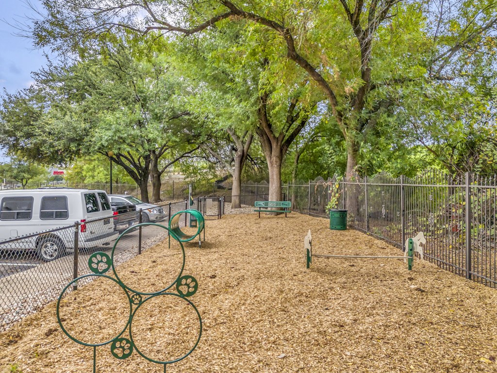 a dog park with trees and a fence and cars parked