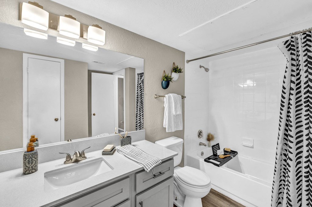 a bathroom with a sink and a toilet and a shower