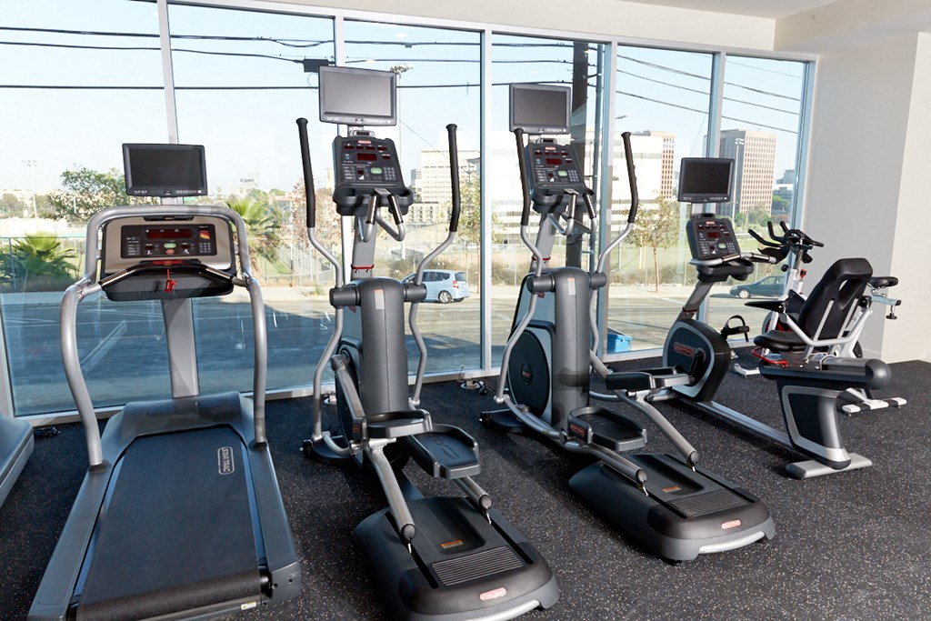 a gym full of cardio equipment with a view of the city