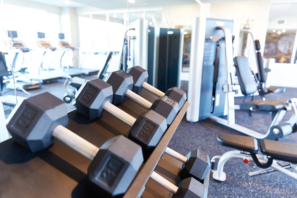 a row of weights in a gym