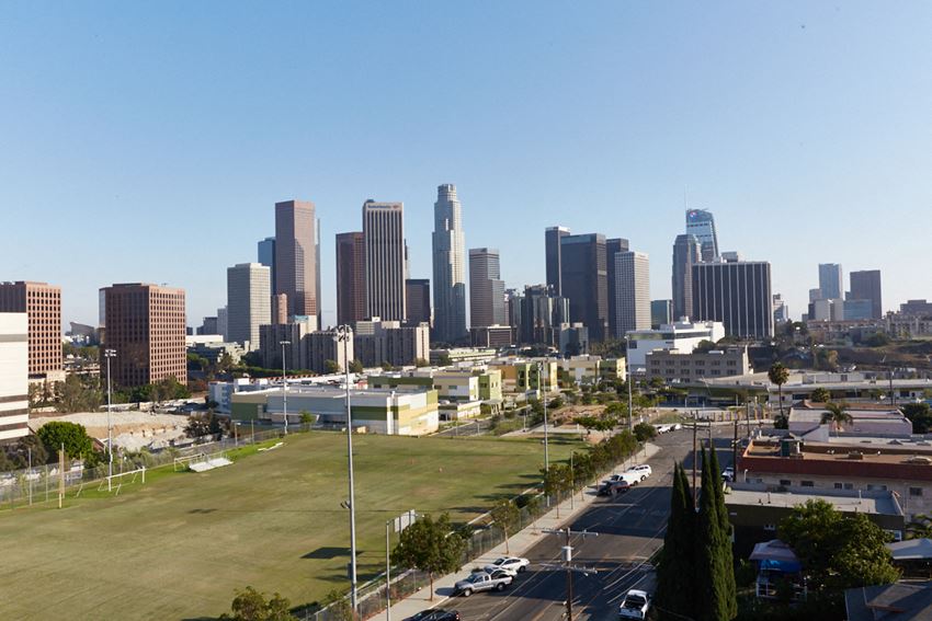 a view of the city from a park