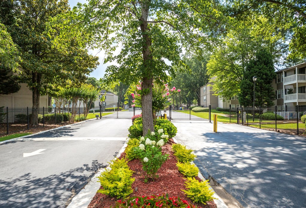 a tree in the middle of a street next to a building