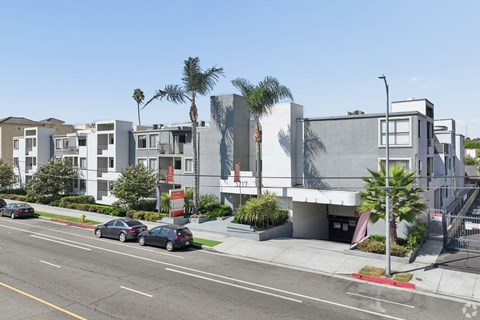 A street view of a residential area with cars parked on the side of the road.