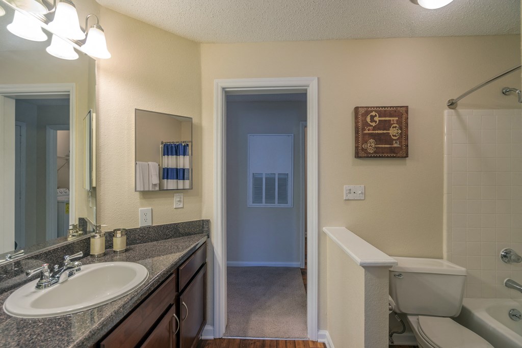 a bathroom with a large mirror and a sink and a toilet