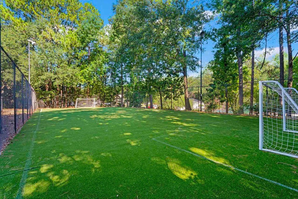 a soccer field with a goal in the middle of it