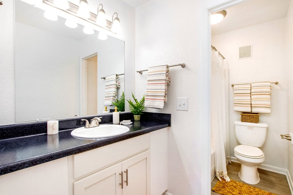 a bathroom with a sink and a toilet and a mirror