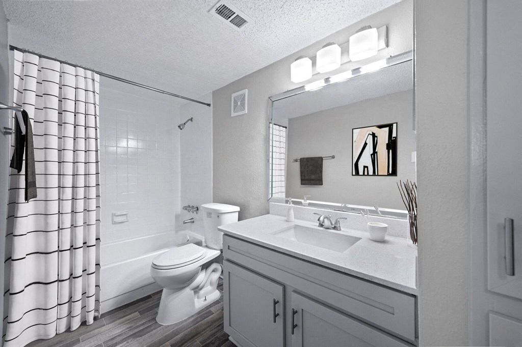 a bathroom with a sink and a toilet and a shower