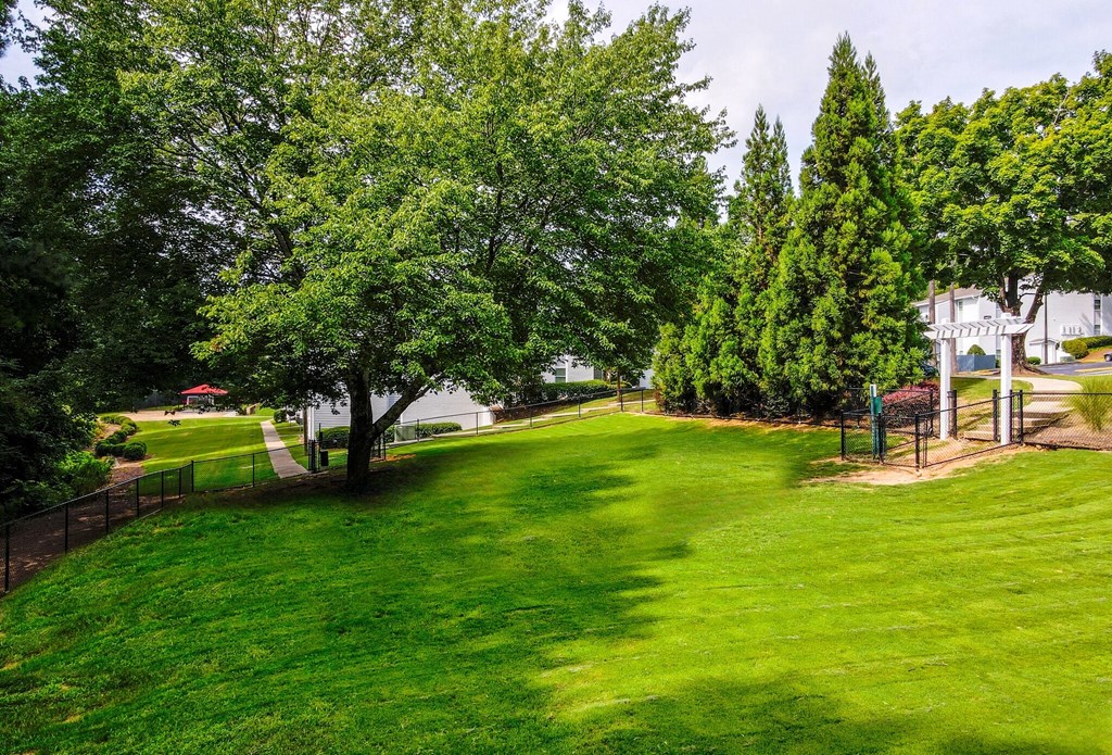 a view of a park with trees and a playground