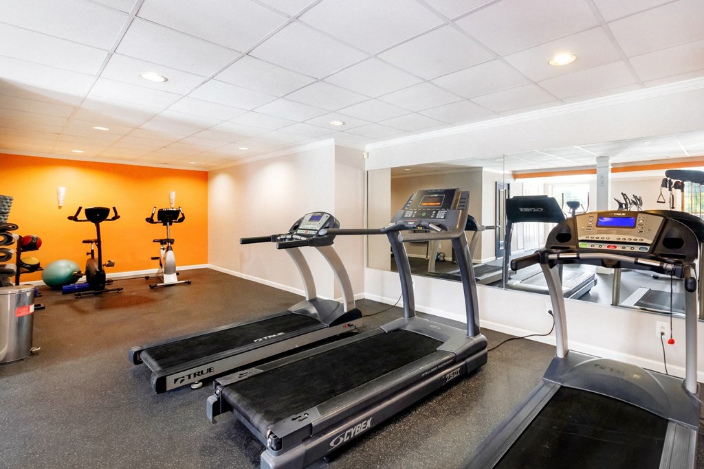 Fitness center  at Willow Apartments, Nashville, TN, 37217