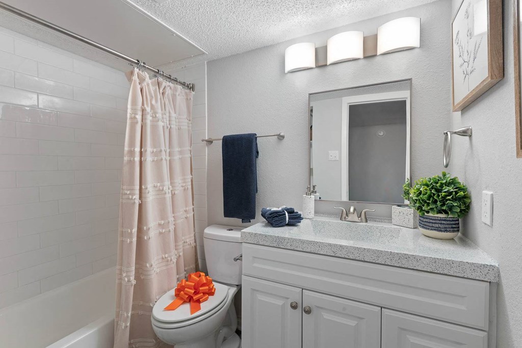 a bathroom with a sink and a toilet and a shower at District 2308, Texas ?