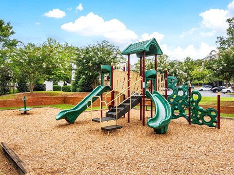 a playground at a park with slides