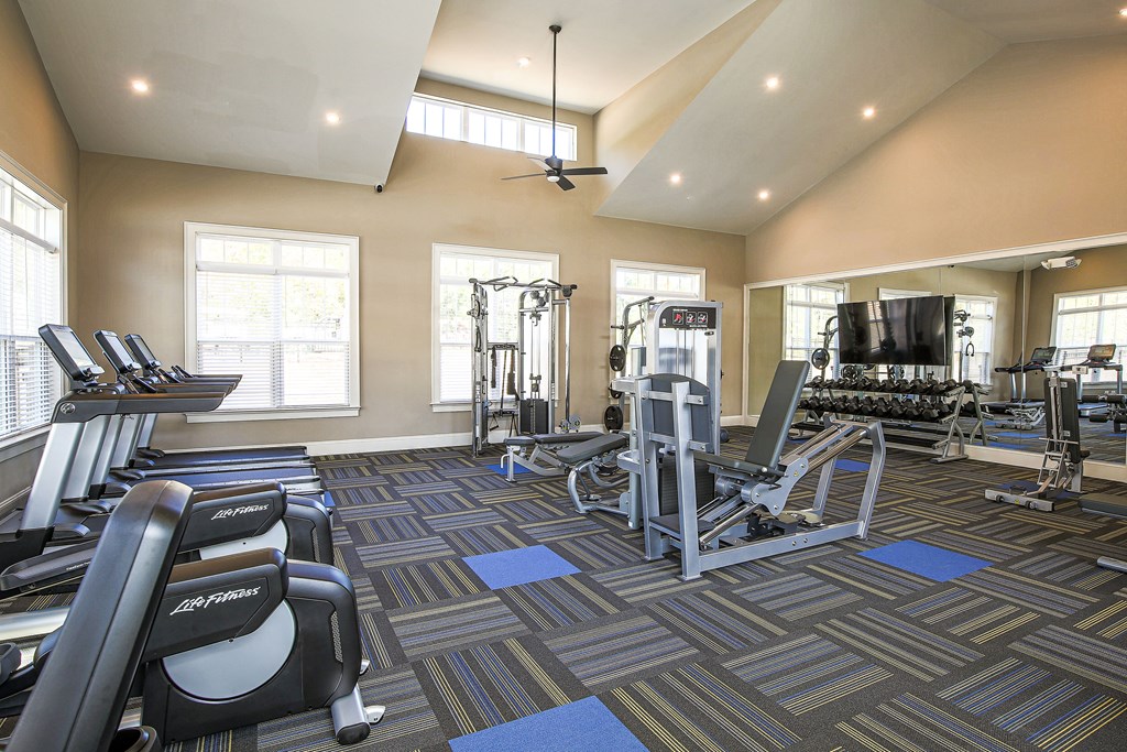 a gym with weights and cardio machines and a television