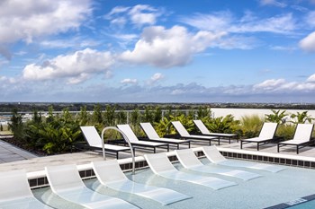 Poolside - Photo Gallery 5