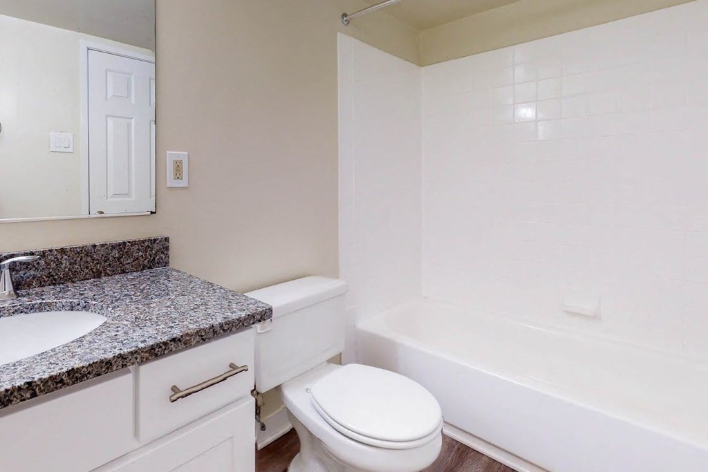 a bathroom with a toilet and a tub and a sink