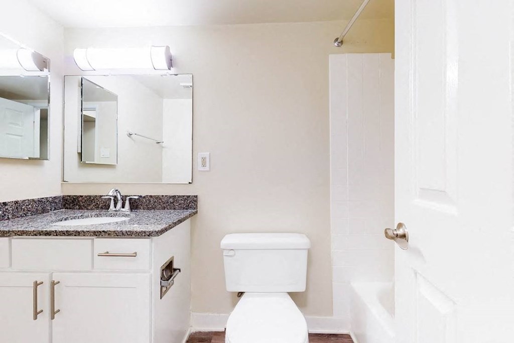 a bathroom with a toilet and a sink and a mirror
