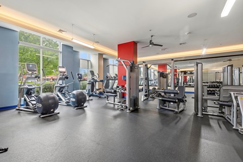 A gym with a variety of equipment including weights and cardio machines.