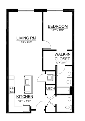 1 Bedroom Apartment