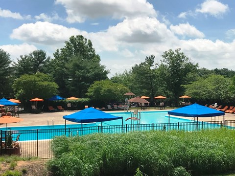 A pool surrounded by trees and umbrellas.