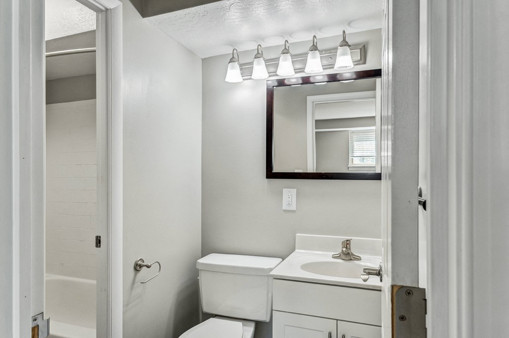 a bathroom with a sink and a mirror and a toilet
