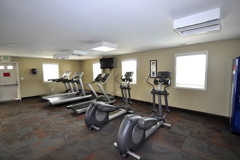 A gym with treadmills and elliptical machines.