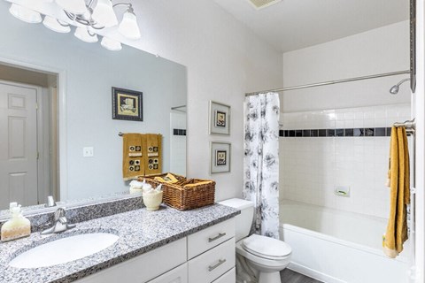 a bathroom with a sink and a toilet and a shower