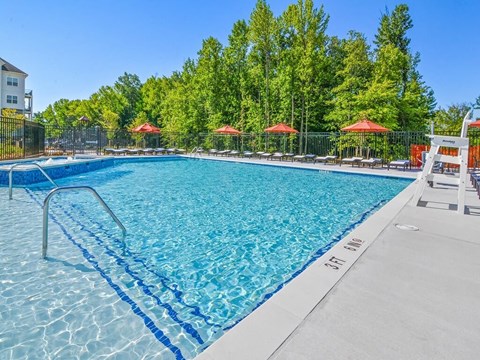 a swimming pool with chairs and umbrellas in front of trees