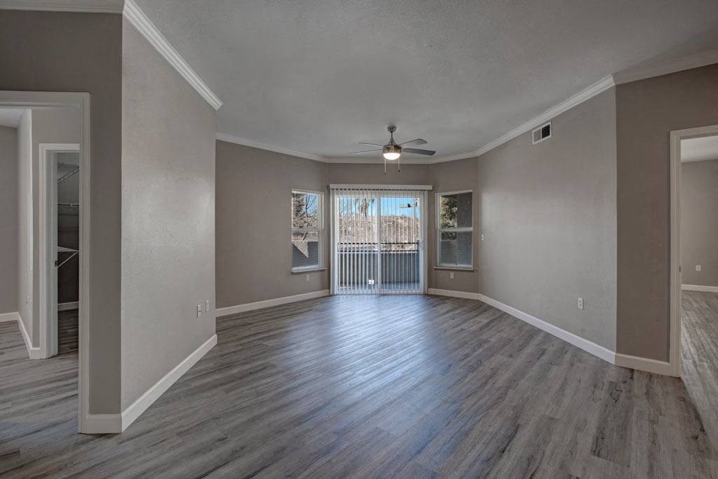 Broadleaf Apartments