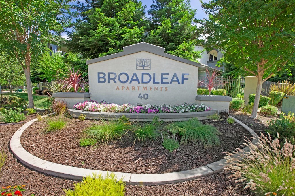 Broadleaf Apartments
