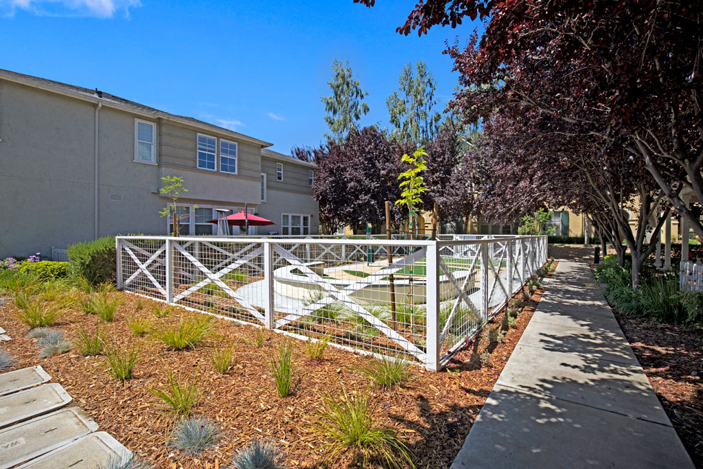 Saratoga Downs At Sheveland Ranch