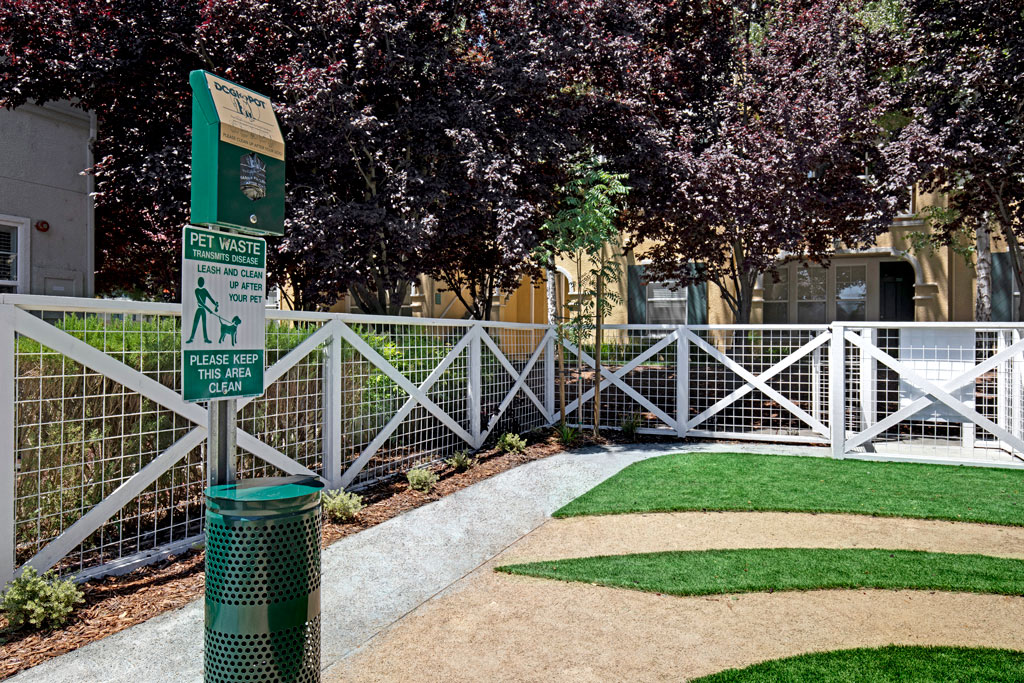 Saratoga Downs At Sheveland Ranch