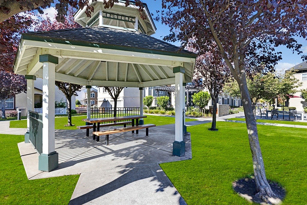 Saratoga Downs At Sheveland Ranch