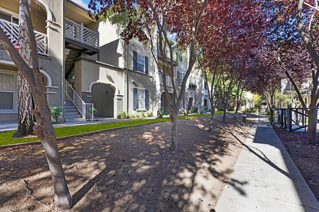 Saratoga Downs At Sheveland Ranch