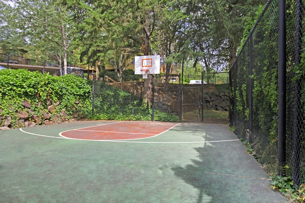 Taluswood Apartments Ourdoor Basketball Courts | Apartments In Mountlake Terrace, WA | Taluswood Apartments