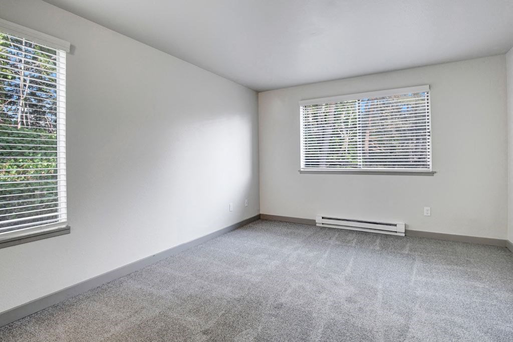 a bedroom with two windows and a carpeted floor
