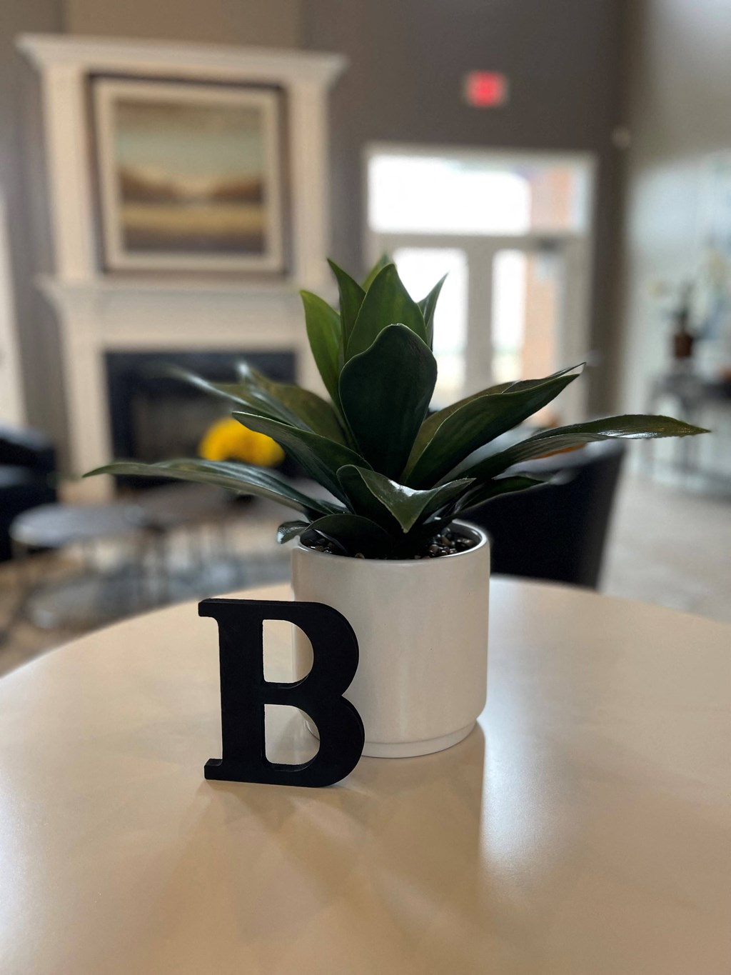a plant in a white vase on a table
