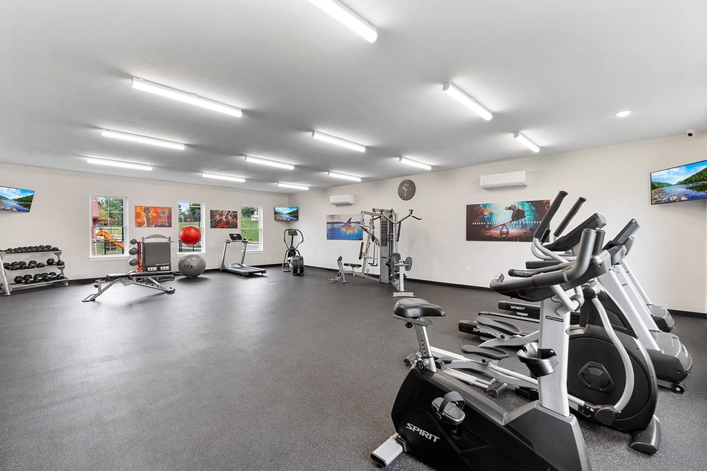 the gym has plenty of exercise equipment and paintings on the wall