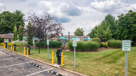 a parking lot with yellow and blue parking meters in front of a park