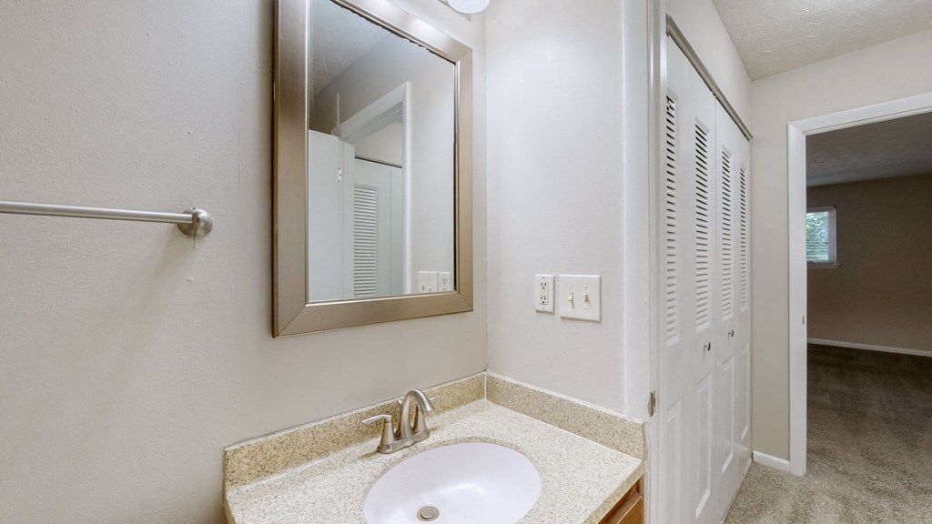 a bathroom with a sink and a mirror and a closet