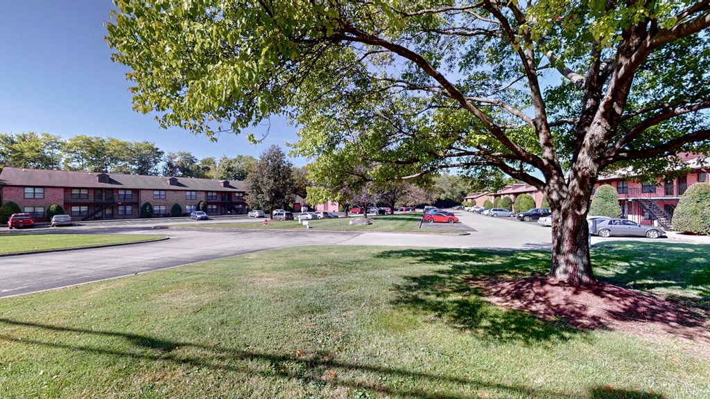 a view of a street with a tree in the grass