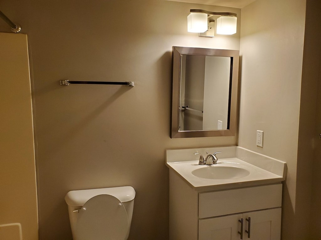 A bathroom with a toilet, sink, mirror and light.
