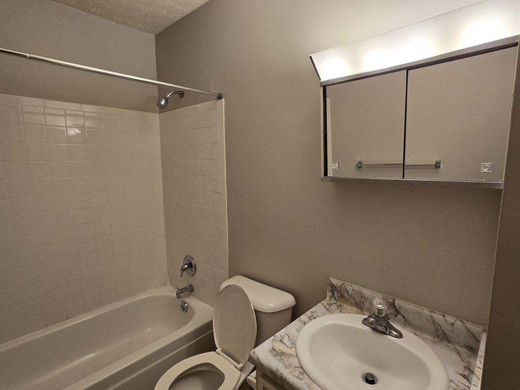 A bathroom with a sink, toilet, and bathtub.
