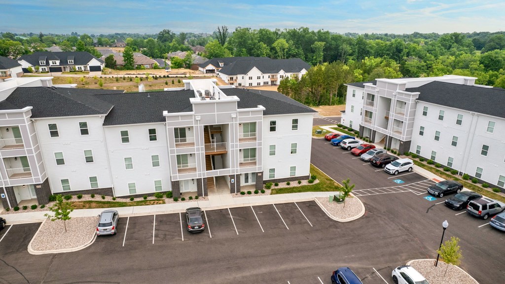 an aerial view of a parking lot with succulent plants