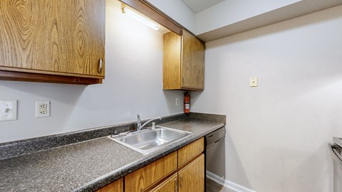 A kitchen with a sink and wooden cabinets.