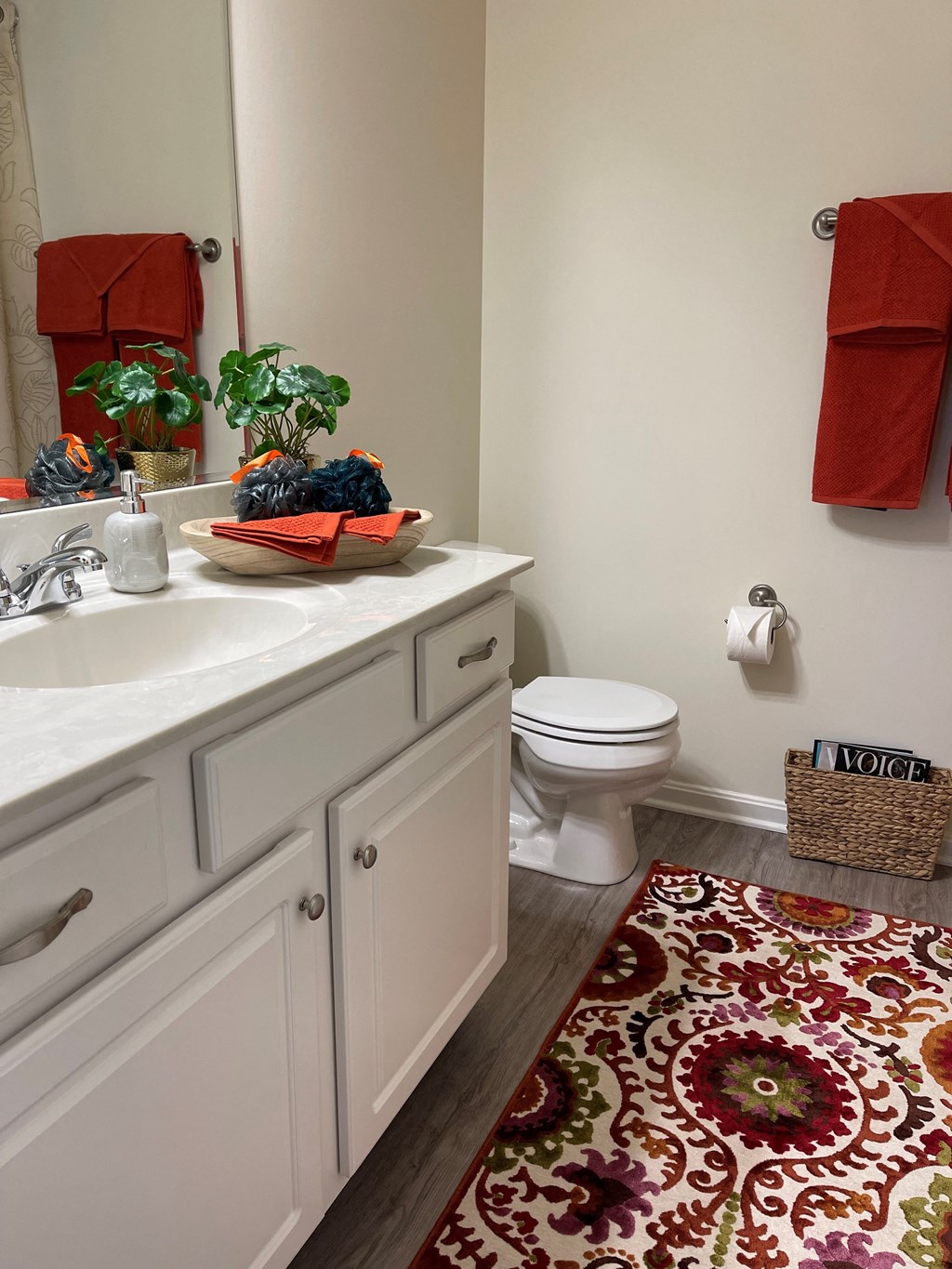 a bathroom with a toilet and a sink and a rug