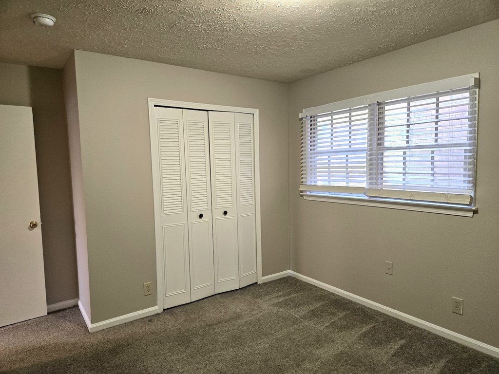 A room with a carpeted floor, a white closet with a door, and a window with blinds.