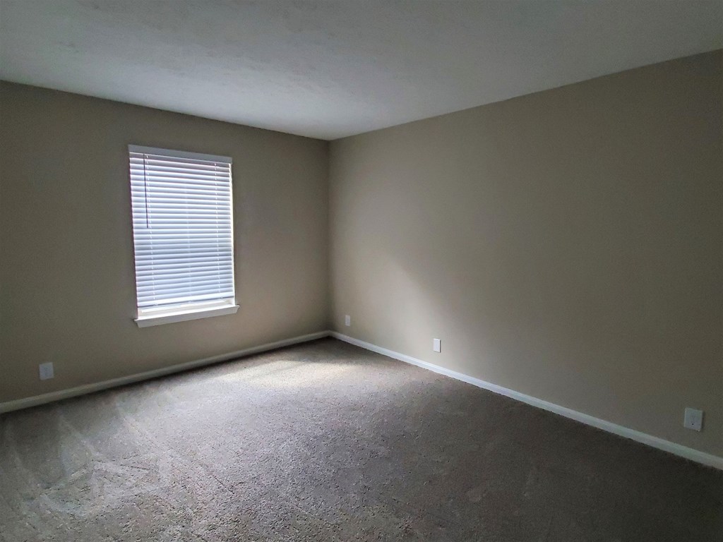 A room with a carpeted floor and a window with blinds.