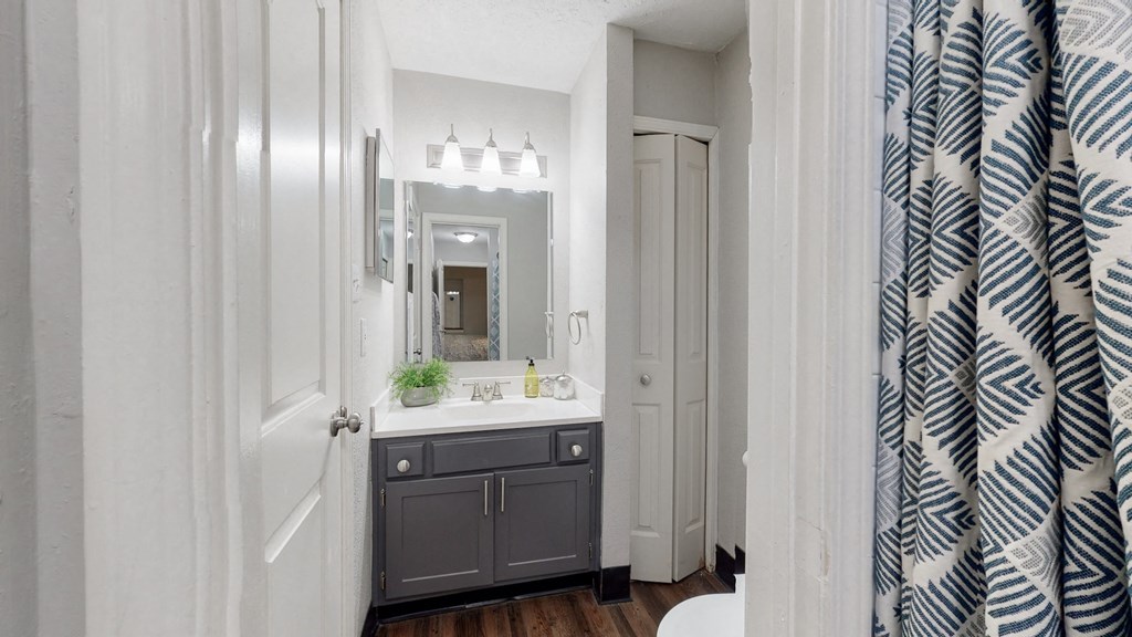 a bathroom with a sink and a mirror and a shower curtain
