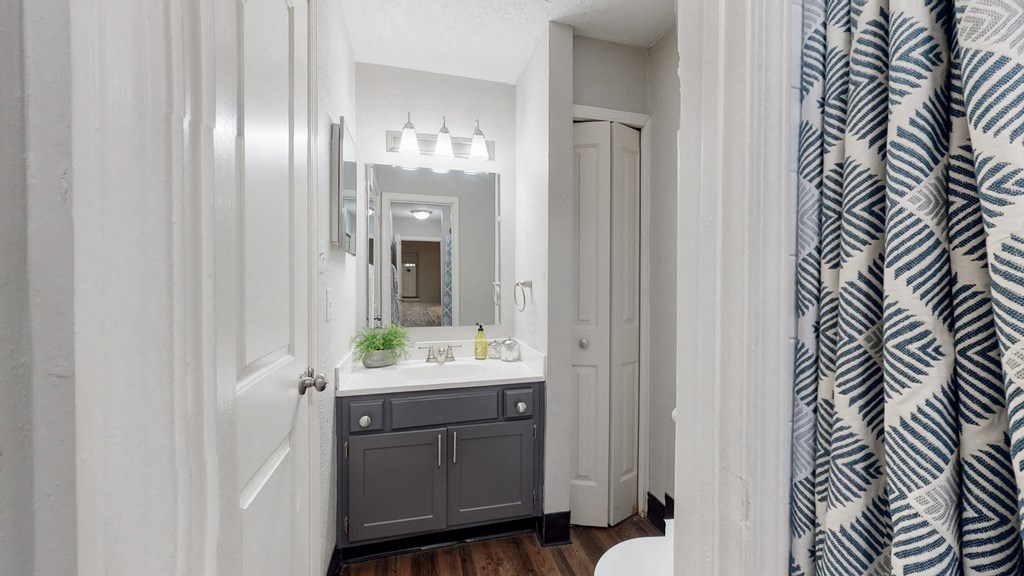 a bathroom with a sink and a mirror and a shower curtain