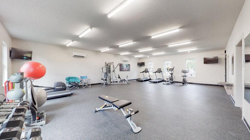 the gym has plenty of cardio equipment and free weights